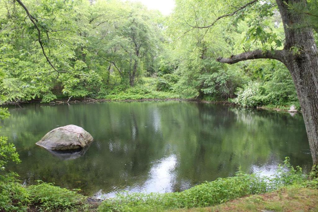 Herring Run Борн Экстерьер фото